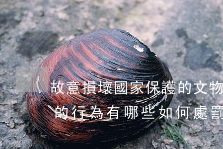 故意損壞國家保護的文物、名勝古跡的行為有哪些,如何處罰怎么規(guī)定